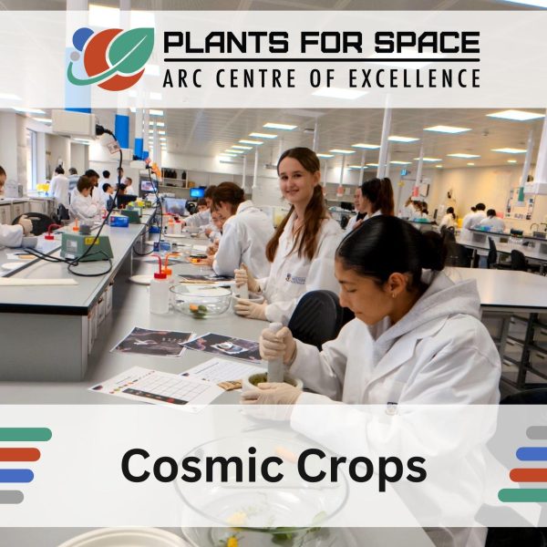 Photo of Cosmic Crops