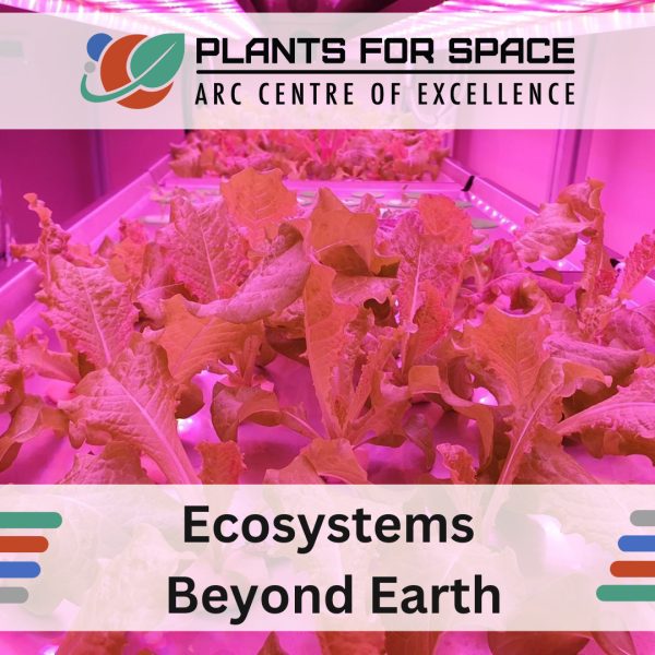 Photo of Ecosystems Beyond Earth