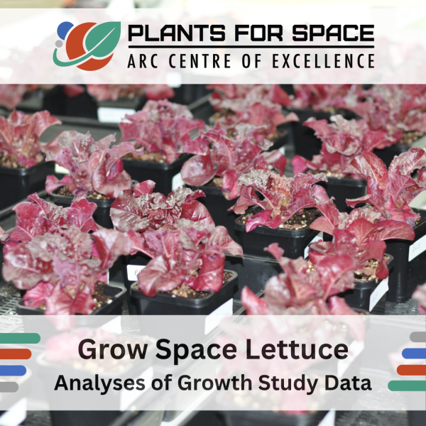 Photo of Grow Space Lettuce - Analyses of Growth Study Data