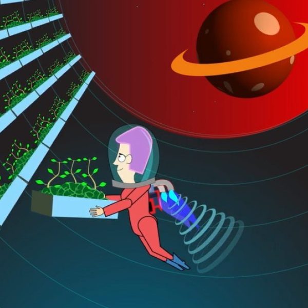 Photo of Growing plants in space