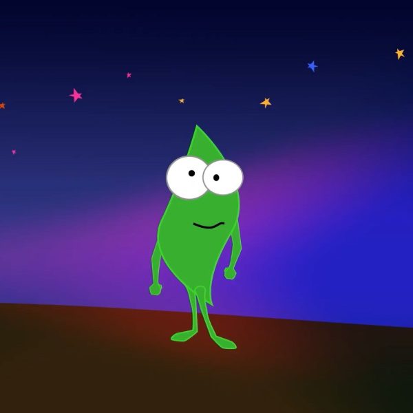 Photo of The effect of gravity on plant development