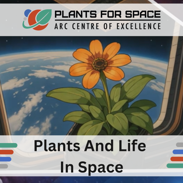 Photo of Plants And Life In Space