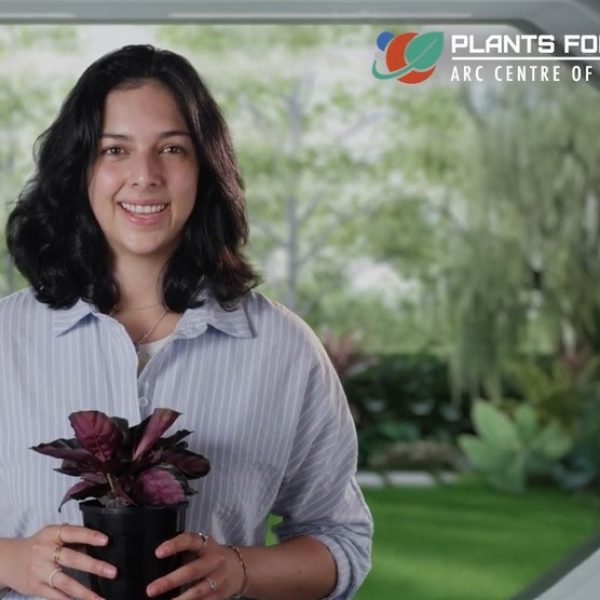 Photo of Seriously Social: Plants and life in space