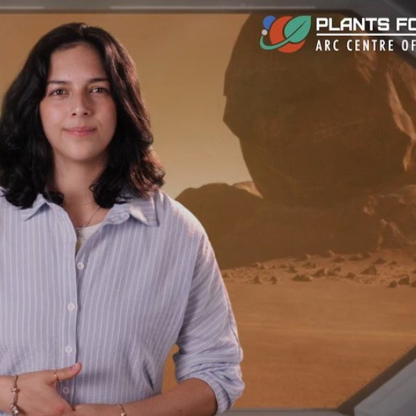 Photo of Seriously Social: Who owns space?